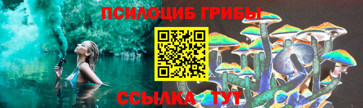 Туапсе  Псилоцибиновые грибы Psilocybine cubensis  Вход с VPN  Псилоцибиновые грибы Psilocybine cubensis 